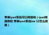 苹果ipad系统可以降级吗（ipad降级教程 苹果ipad系统ios 12怎么降级）