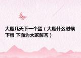 大雁几天下一个蛋（大雁什么时候下蛋 下面为大家解答）