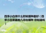 四季小白菜什么时候播种最好（四季小白菜最晚几月份播种 你知道吗）