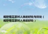 喝野菊花茶对人体的好处与坏处（喝野菊花茶对人体的好处）
