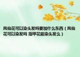 凤仙花可以染头发吗要加什么东西（凤仙花可以染发吗 指甲花能染头发么）