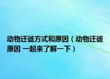 动物迁徙方式和原因（动物迁徙原因 一起来了解一下）