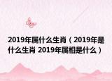 2019年属什么生肖（2019年是什么生肖 2019年属相是什么）