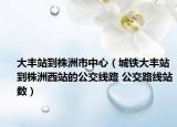 大丰站到株洲市中心（城铁大丰站到株洲西站的公交线路 公交路线站数）