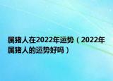 属猪人在2022年运势（2022年属猪人的运势好吗）