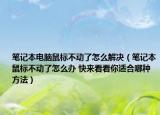 笔记本电脑鼠标不动了怎么解决（笔记本鼠标不动了怎么办 快来看看你适合哪种方法）