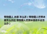 怪物猎人 冰原 怎么进（怪物猎人世界冰原怎么开启 怪物猎人世界冰原进不去怎么办）