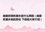 自建房墙体漏水是什么原因（自建房漏水谁的责任 下面给大家介绍）