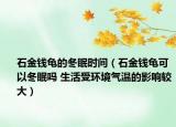 石金钱龟的冬眠时间（石金钱龟可以冬眠吗 生活受环境气温的影响较大）