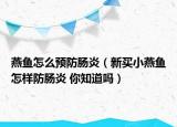 燕鱼怎么预防肠炎（新买小燕鱼怎样防肠炎 你知道吗）