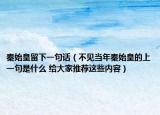 秦始皇留下一句话（不见当年秦始皇的上一句是什么 给大家推荐这些内容）