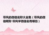 带风的微信名称大全集（带风的微信昵称 带风字微信名有哪些）