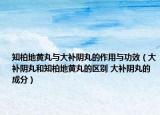 知柏地黄丸与大补阴丸的作用与功效（大补阴丸和知柏地黄丸的区别 大补阴丸的成分）