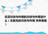 羌活功效与作用的功效与作用是什么（生猴羌的功效与作用 快来看看）
