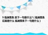 5 临渊羡鱼 的下一句是什么?（临渊羡鱼后面是什么 临渊羡鱼下一句是什么）