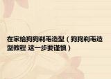 在家给狗狗剃毛造型（狗狗剃毛造型教程 这一步要谨慎）