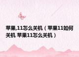 苹果,11怎么关机（苹果11如何关机 苹果11怎么关机）