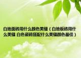白地面砖用什么颜色美缝（白地板砖用什么美缝 白色瓷砖搭配什么美缝颜色最佳）