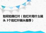 如何拍摄红叶（拍红叶用什么镜头 3个拍红叶镜头推荐）