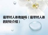 翡翠对人体有益吗（翡翠对人体的好处介绍）