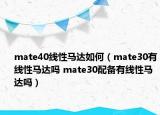 mate40线性马达如何（mate30有线性马达吗 mate30配备有线性马达吗）