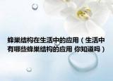 蜂巢结构在生活中的应用（生活中有哪些蜂巢结构的应用 你知道吗）