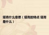 塔青什么意思（塔青的特点 塔青是什么）