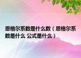 恩格尔系数是什么数（恩格尔系数是什么 公式是什么）