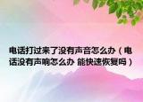 电话打过来了没有声音怎么办（电话没有声响怎么办 能快速恢复吗）