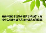猪的体温低于正常体温该怎样治疗?（猪吃什么药猪体温不高 猪体温高如何处理）