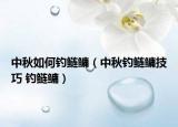 中秋如何钓鲢鳙（中秋钓鲢鳙技巧 钓鲢鳙）