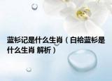 蓝衫记是什么生肖（白袷蓝衫是什么生肖 解析）