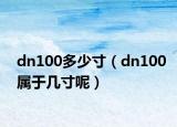 dn100多少寸（dn100属于几寸呢）