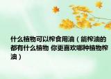 什么植物可以榨食用油（能榨油的都有什么植物 你更喜欢哪种植物榨油）