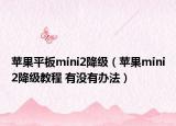 苹果平板mini2降级（苹果mini2降级教程 有没有办法）