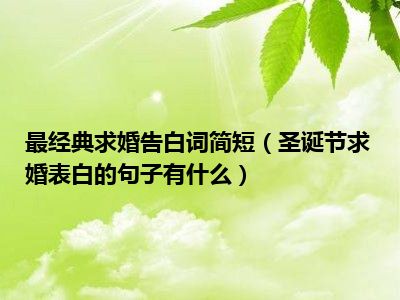 求婚有什么圣诞节简短最经典告白句子表白