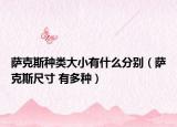 萨克斯种类大小有什么分别（萨克斯尺寸 有多种）