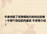 牛身肉除了里脊哪地方的肉比较嫩（牛哪个部位的肉最贵 牛里脊介绍）