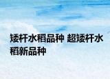 矮杆水稻品种 超矮杆水稻新品种