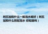 刺五加和什么一起泡水喝好（刺五加和什么搭配泡水 你知道吗）