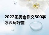 2022冬奥会作文500字怎么写好看