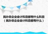 民办非企业会计科目都有什么科目（民办非企业会计科目都有什么）