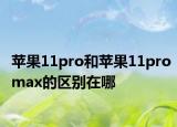 苹果11pro和苹果11promax的区别在哪