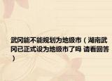 武冈能不能规划为地级市（湖南武冈已正式设为地级市了吗 请看回答）