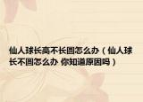 仙人球长高不长圆怎么办（仙人球长不圆怎么办 你知道原因吗）