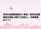 男鸡女鼠婚姻相配吗卜易居（男鸡女鼠婚姻是否相配 这两个生肖的人一定要看看这个了）