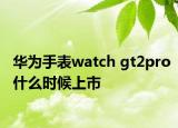 华为手表watch gt2pro什么时候上市