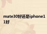 mate30好还是iphone11好