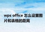 wps office 怎么设置图片和表格的距离