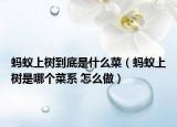 蚂蚁上树到底是什么菜（蚂蚁上树是哪个菜系 怎么做）